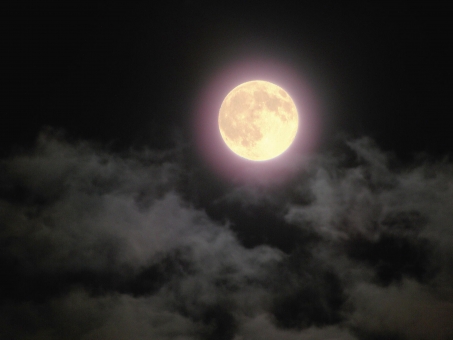 最も共有された 満月 写真 フリー 犬 イラスト 無料